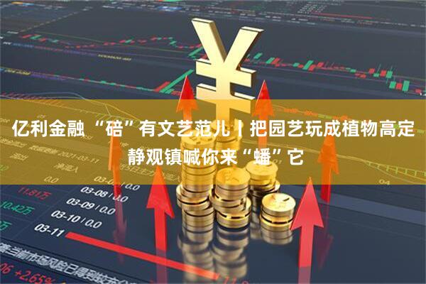 亿利金融 “碚”有文艺范儿丨把园艺玩成植物高定 静观镇喊你来“蟠”它