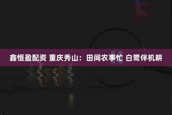 鑫恒盈配资 重庆秀山：田间农事忙 白鹭伴机耕