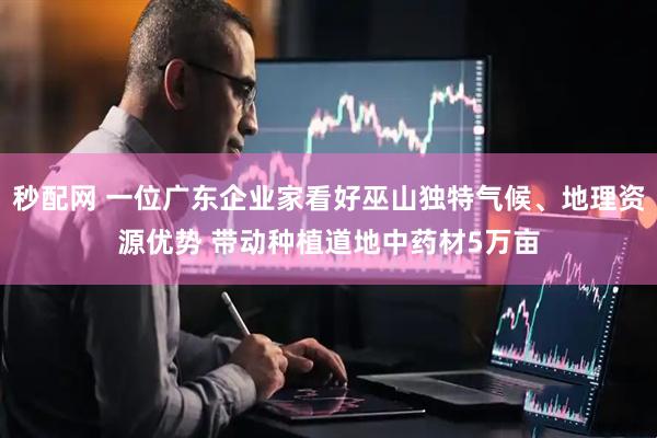 秒配网 一位广东企业家看好巫山独特气候、地理资源优势 带动种植道地中药材5万亩