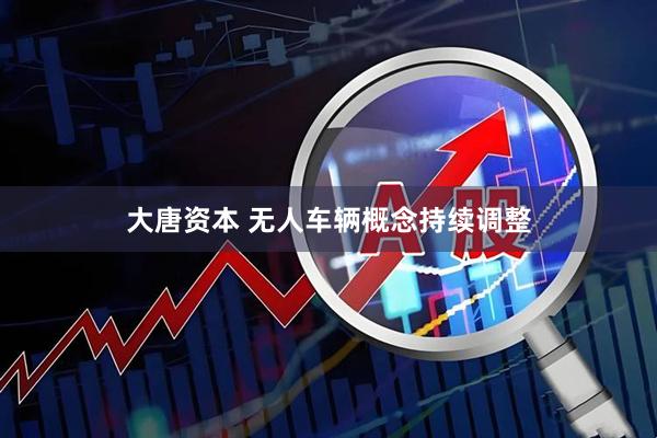 大唐资本 无人车辆概念持续调整