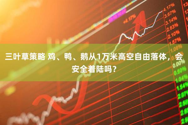 三叶草策略 鸡、鸭、鹅从1万米高空自由落体，会安全着陆吗？