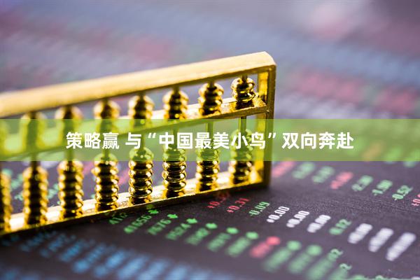 策略赢 与“中国最美小鸟”双向奔赴