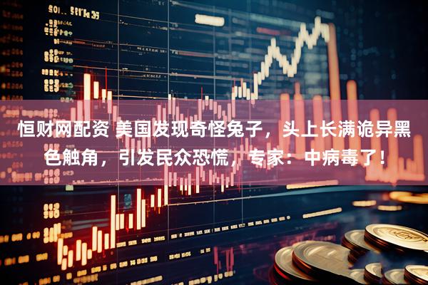恒财网配资 美国发现奇怪兔子，头上长满诡异黑色触角，引发民众恐慌，专家：中病毒了！