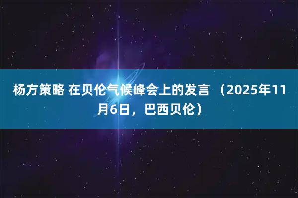 杨方策略 在贝伦气候峰会上的发言 (2025年11月6日,巴西贝伦)